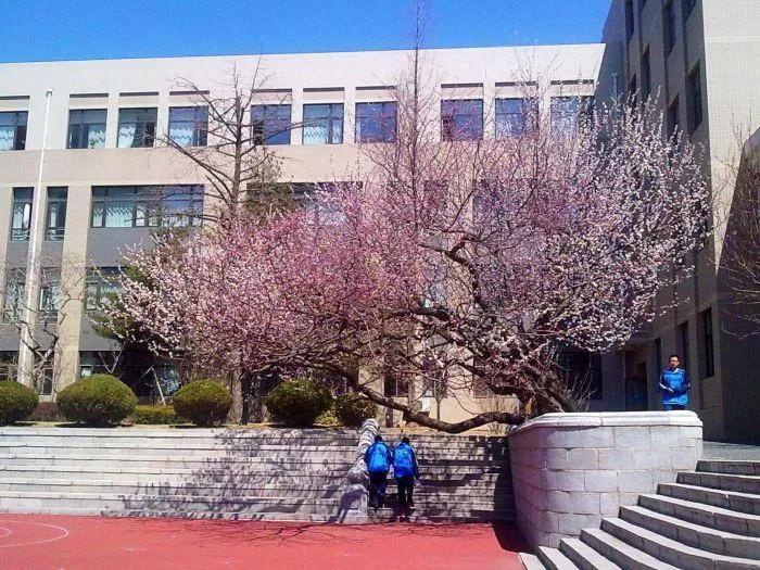 大连市第八中学电话,大连第八高级中学