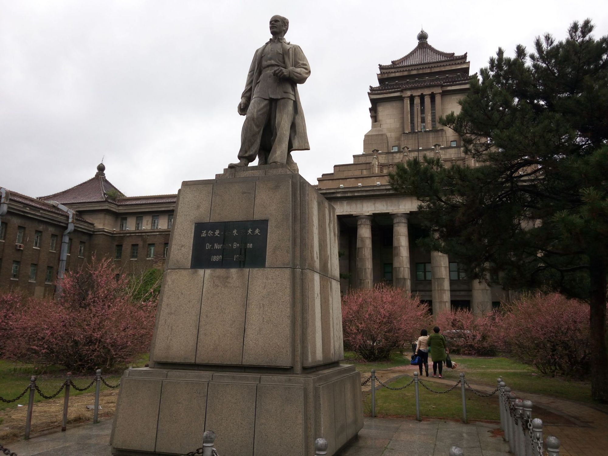 曾是医学界的翘楚，无奈并入吉林大学，如今最好学科仅为B类