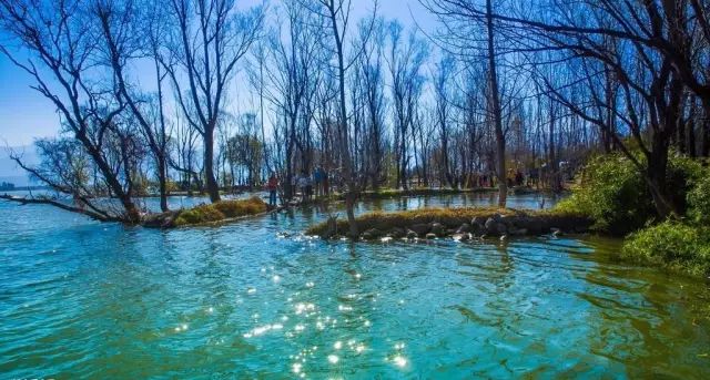 成都这座古城从不缺幻想和故事,四川藏着一个静谧古城