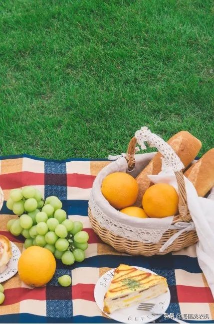 清明|春风十里，一起get神清气爽秘诀