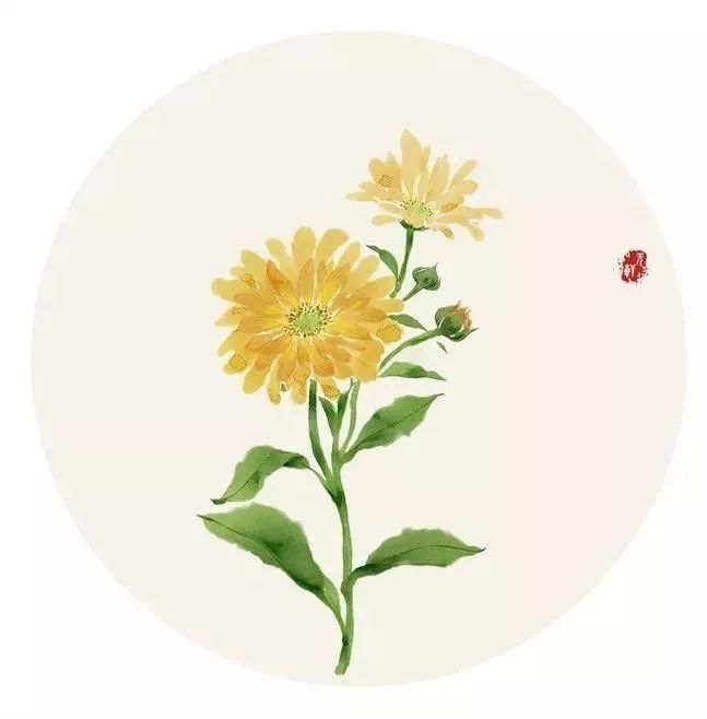 你的名字里藏着最美的诗词,你的名字里藏着最美的情诗