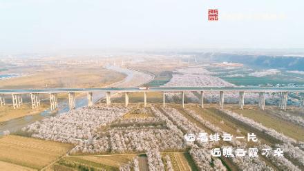 绌烘腐鑺辩敯濂界編,绌烘腐鑺辩敯鐪熺編