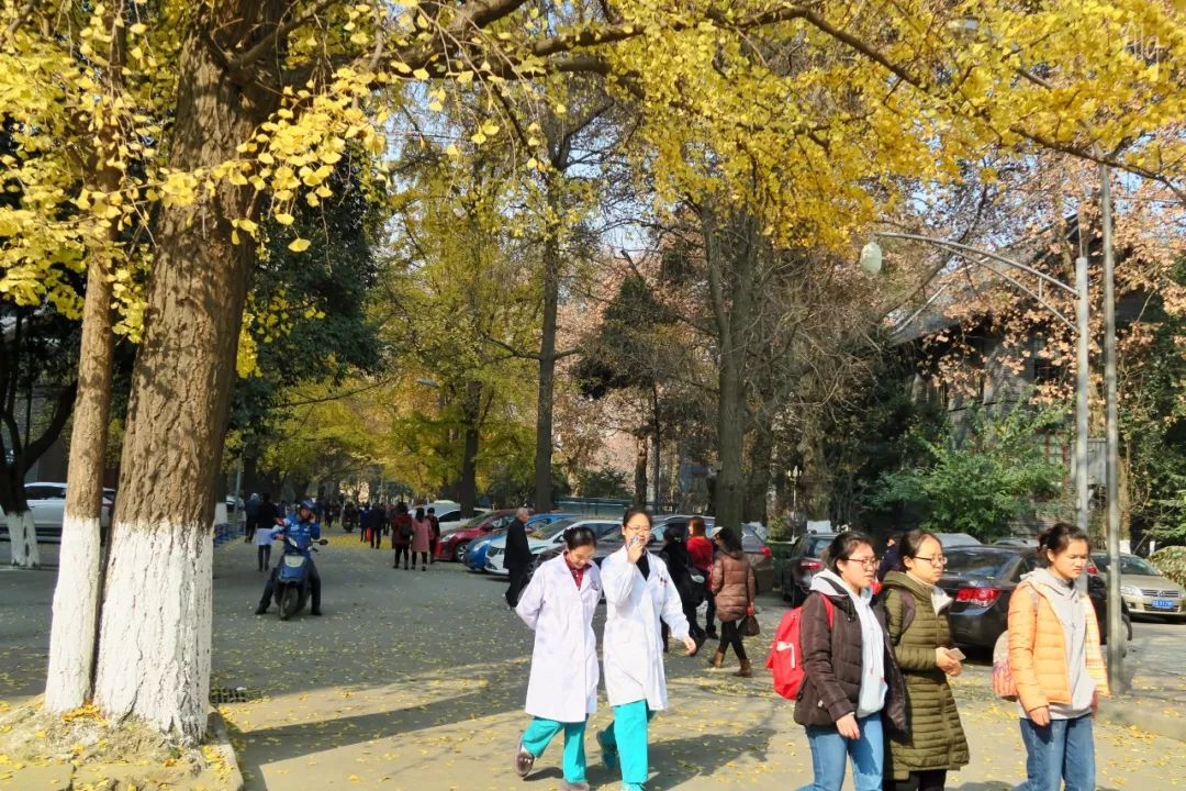 除了华西医院，你对华西坝一无所知！