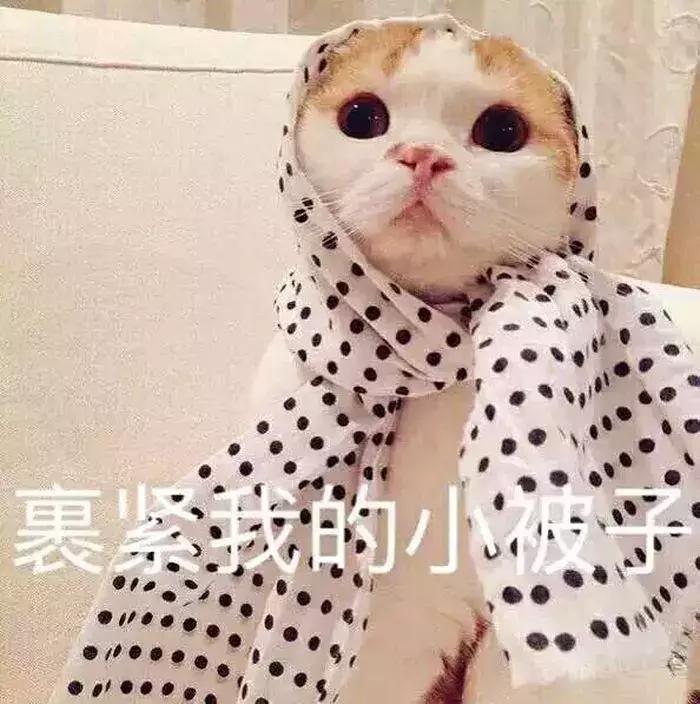 值得回购10000次的小零食春节必备,最值得回购的爱用物