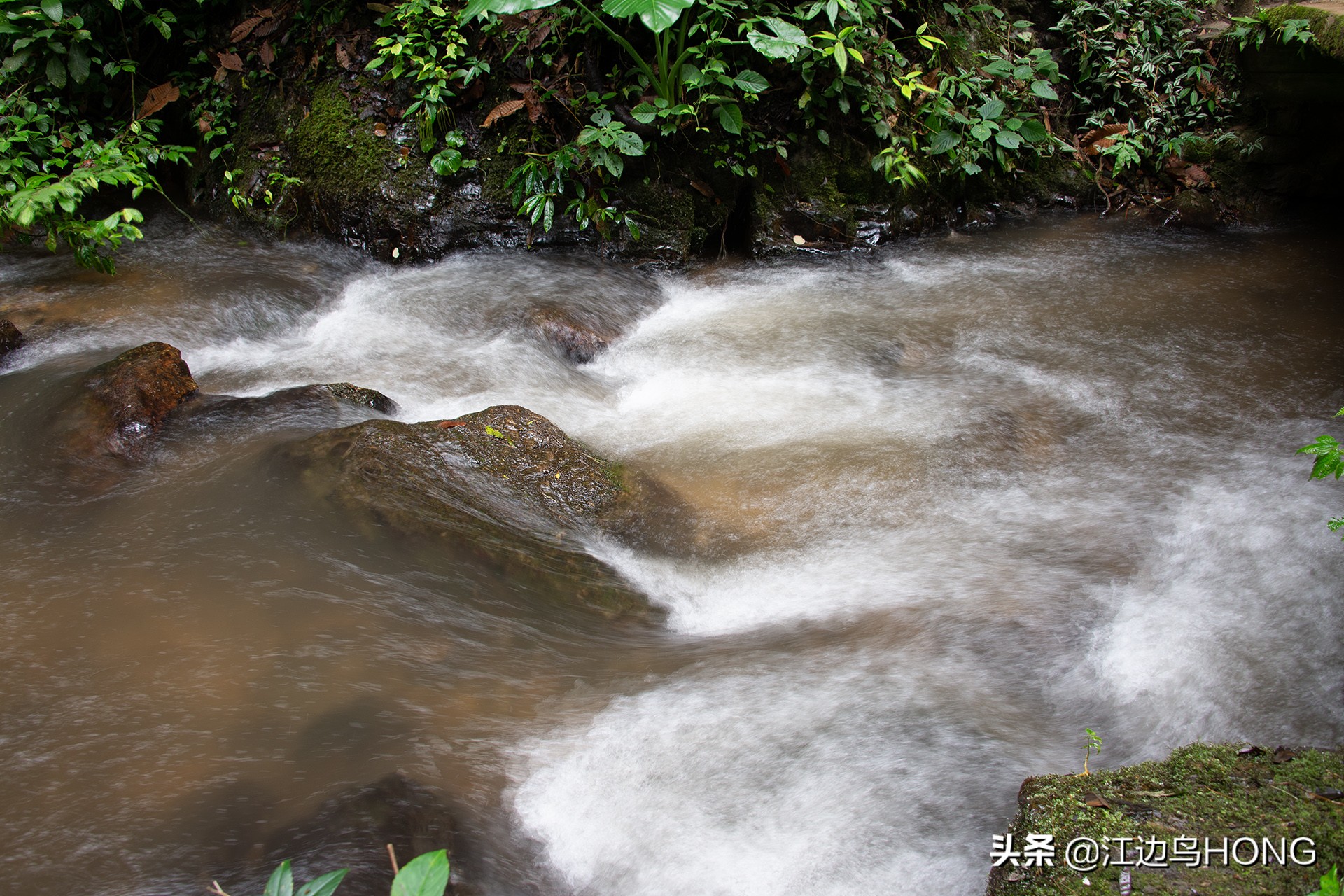 溪水潺潺心旷神怡,美景溪水潺潺