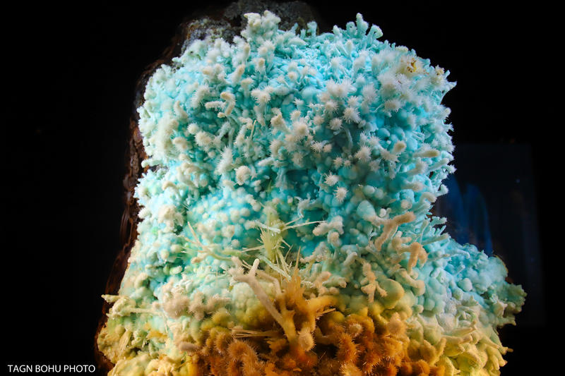 衢州常山春日旅游攻略,常山小众景点