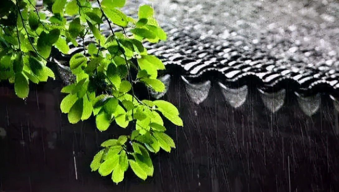 走进同仁堂的视频,南京同仁堂基础知识