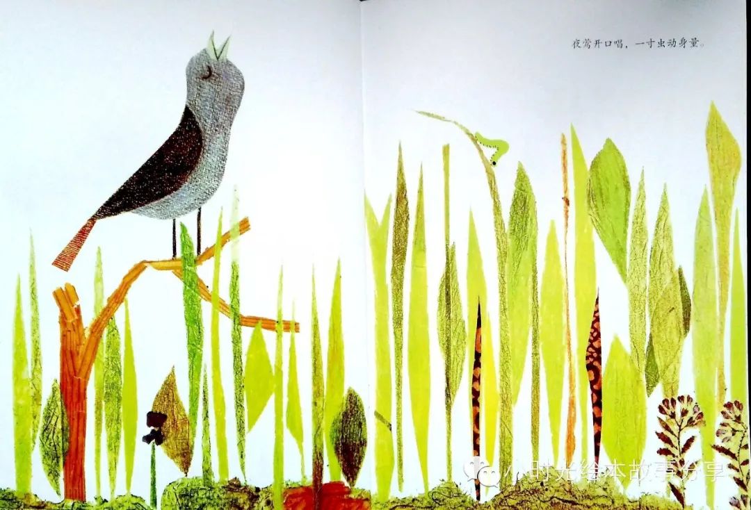 超级干货书单,超级干货视频识字