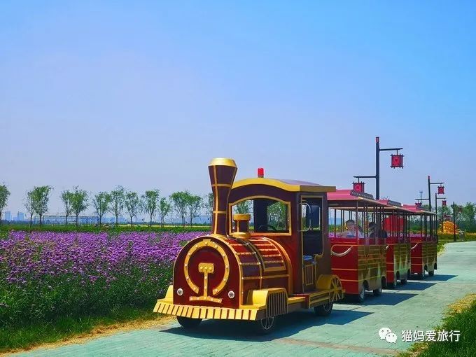 齐河附近带孩子自驾游景点,周边亲子游齐河