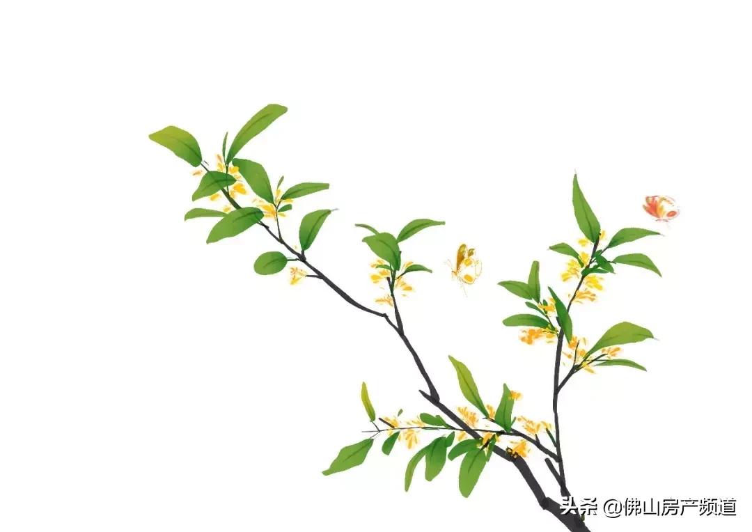 花好月圆中秋快乐视频,花好月圆中秋快乐毛笔字