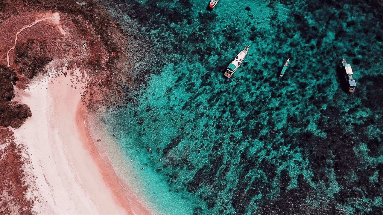 美洲第三富国，国内90%人口都是黑人，富裕程度仅次加拿大、美国