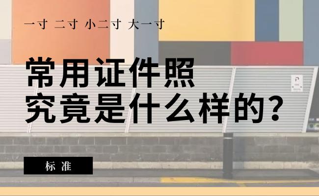 日本常用证件照尺寸,2寸证件照尺寸标准电子版