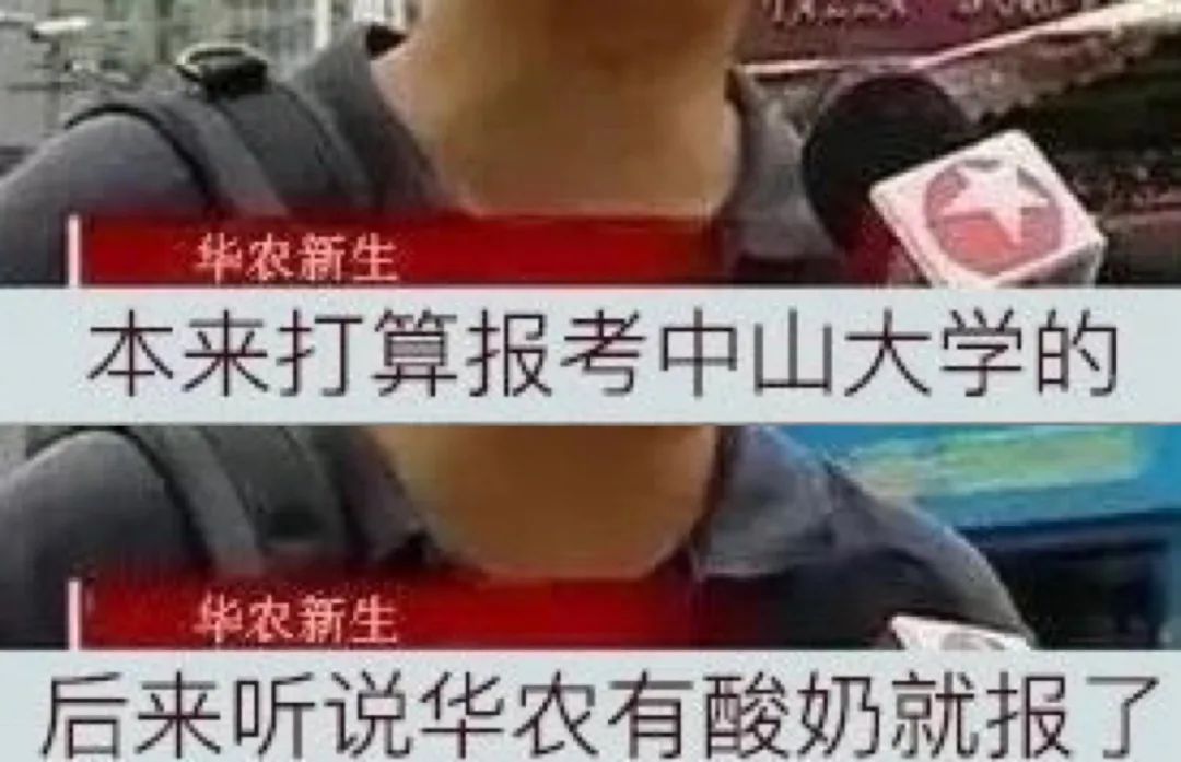 只有当地人才知道的宝藏酸奶,好喝的宝藏酸奶