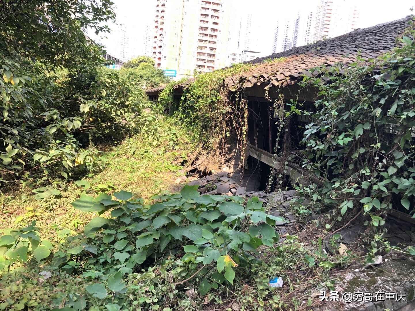 重庆市巴南区发展前景怎样,重庆巴南区未来十年发展