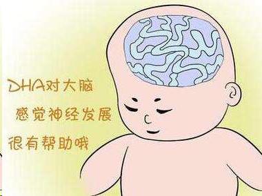 宝妈怎么补dha,补充脑营养选择dha