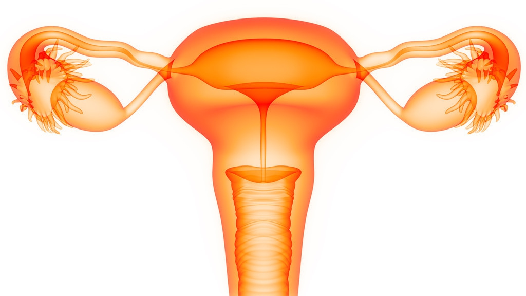 为什么会有人先天性无子宫无卵巢,先天性无子宫辅助生殖是什么