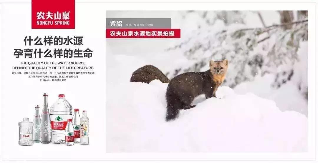 品牌管理的正确观念,怎么理解品牌管理