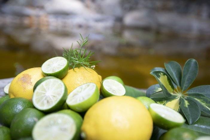 昆明弥勒温泉推荐,弥勒湖泉温泉五一