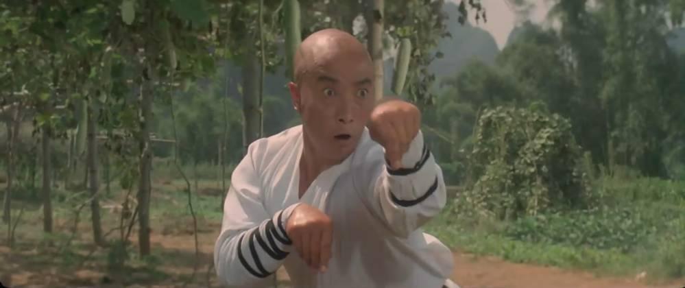 于海：吴京“老丈人”，螳螂拳第六代传人，18岁随周总理访问缅甸