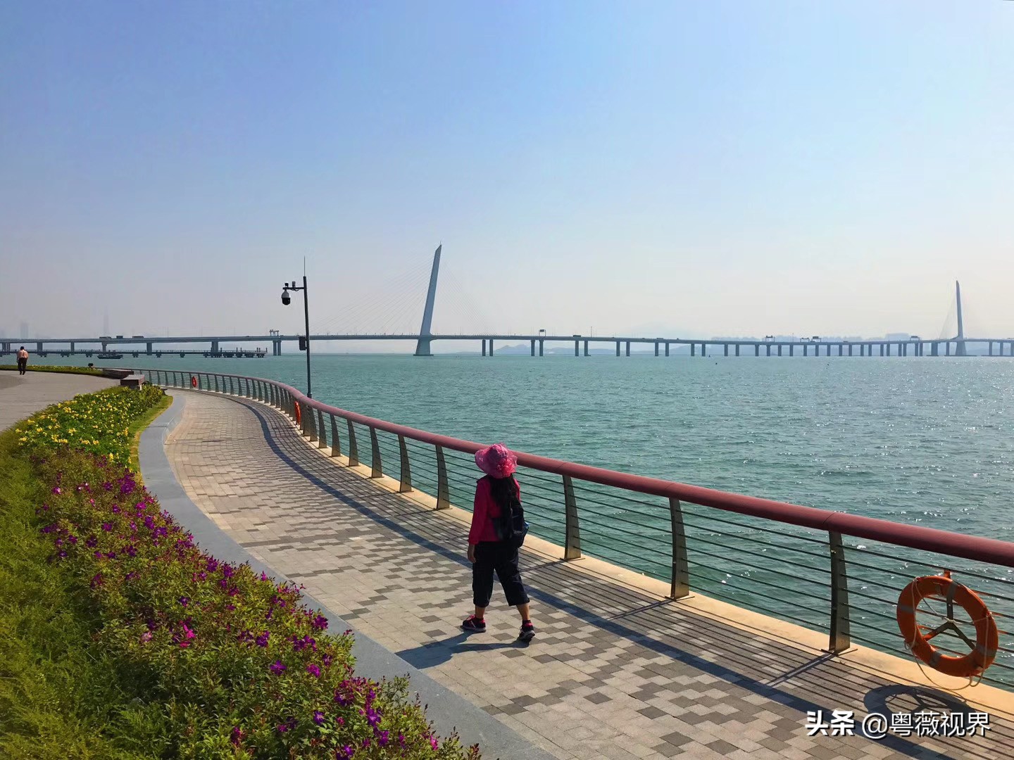 乘着地铁看海,乘地铁逛深圳