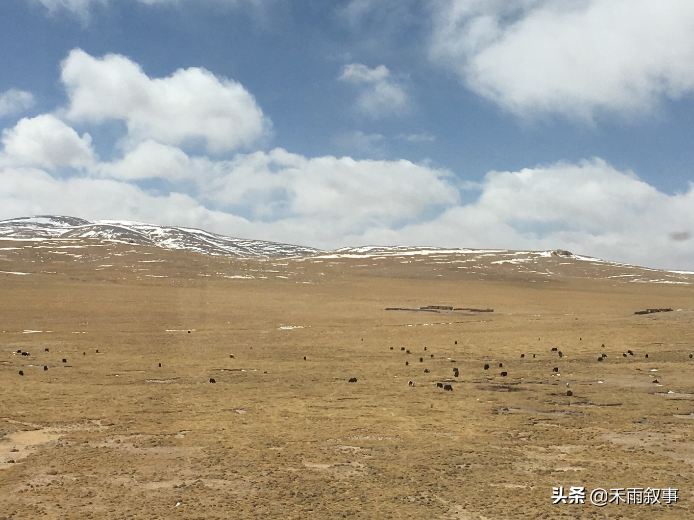 坐上火车去拉萨的途中煎熬吗,坐上火车去拉萨一路颠沛流离