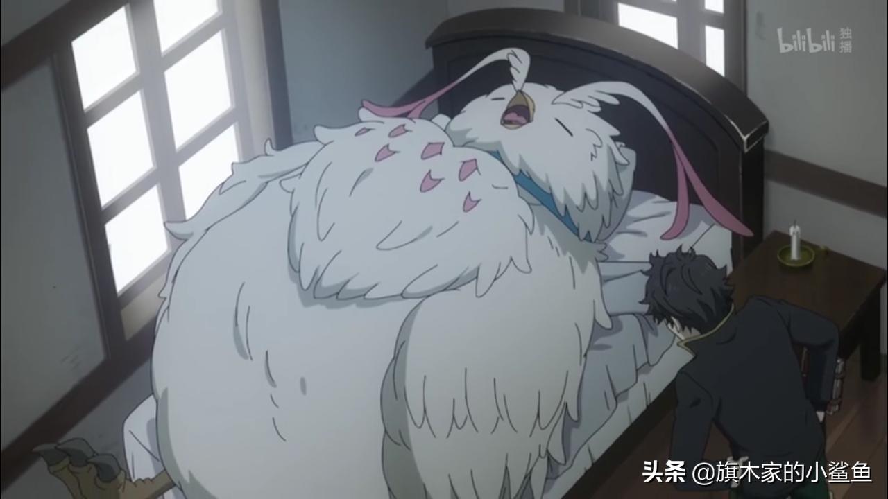 盾勇第二季小浣熊,尚文小浣熊菲洛