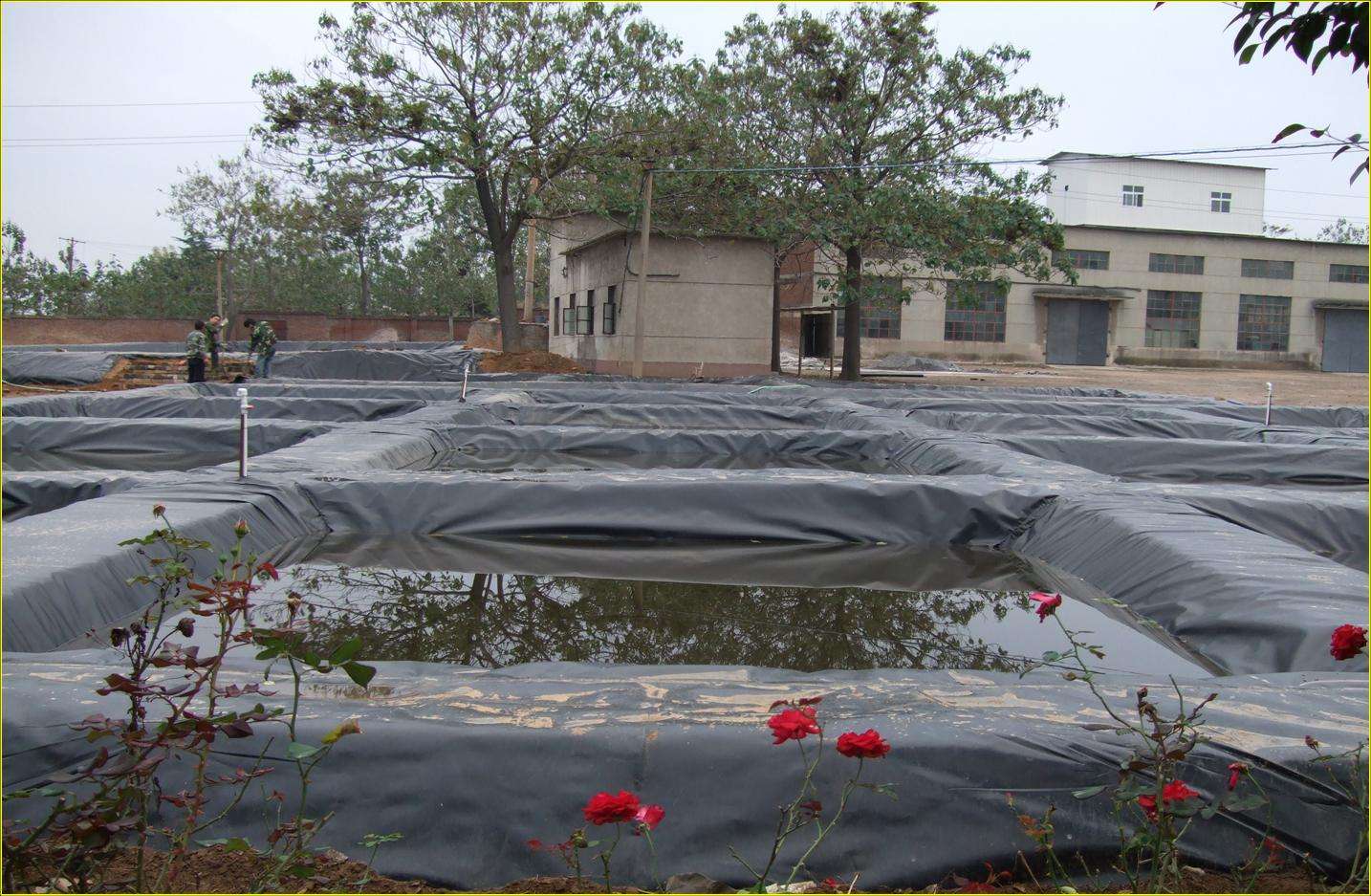 鱼塘工程防渗膜哪些厂家质量很好,hdpe防渗膜与PE防渗膜