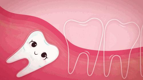 智齿有哪些可怕的事,智齿为什么容易引起发炎