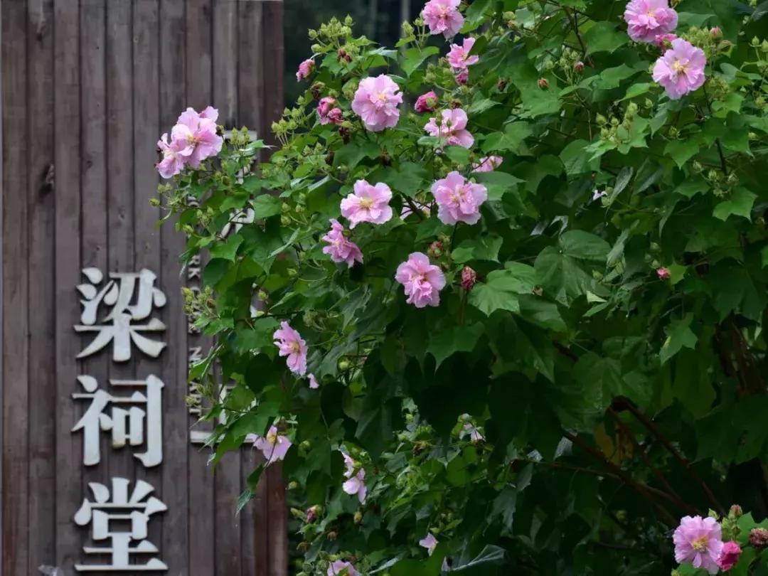 乐山市生态文明,庆祝新中国成立70周年特辑宣讲