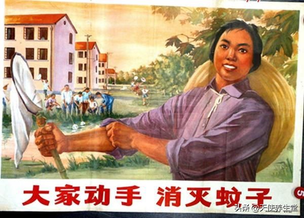 蚊虫传播的是什么脑膜炎,乙脑的传播媒介是什么蚊子