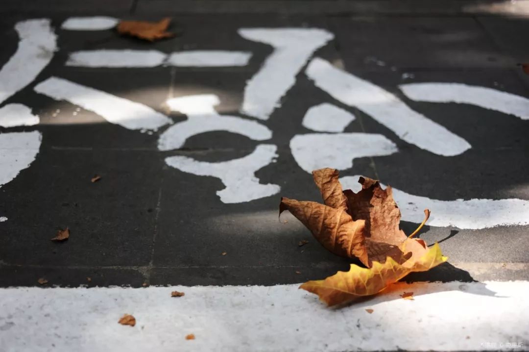 上海十大网红马路,魔都网红一条街