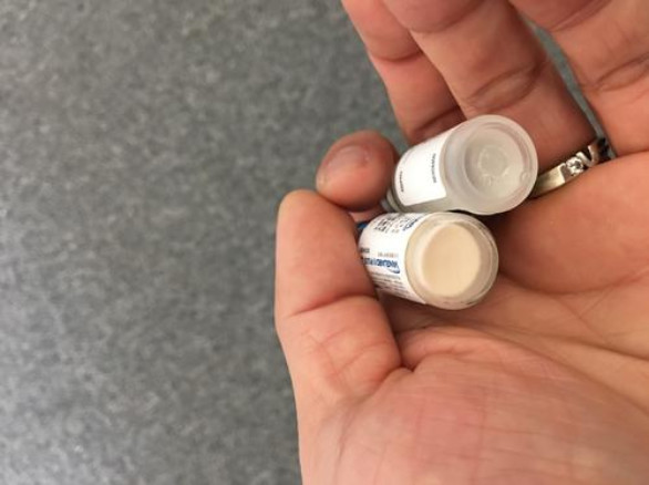 辟谣狗狗,狗狗辟谣