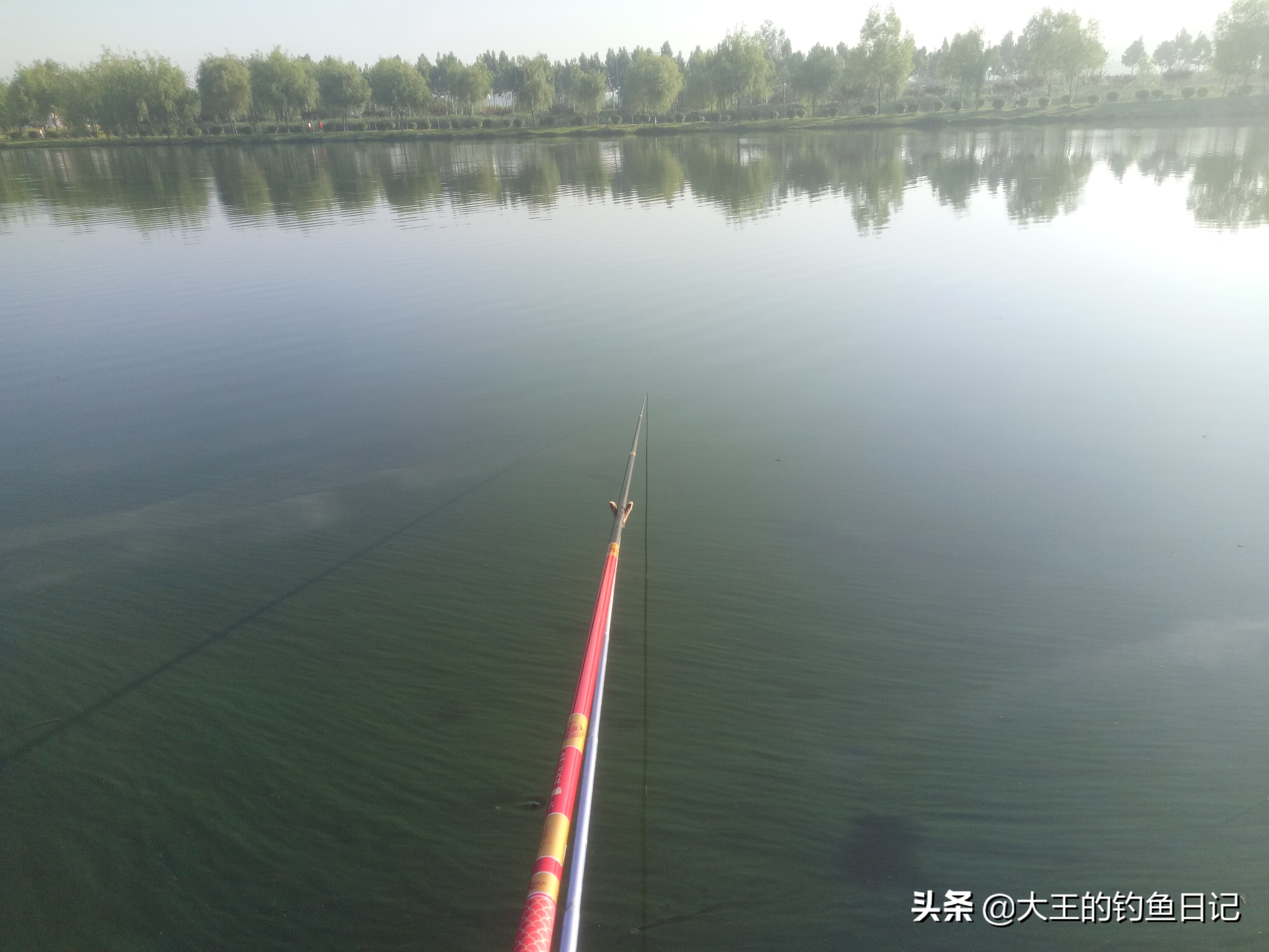 #头条钓鱼王#新钓友入门之五——鱼杆该如何选择？（夏季篇）