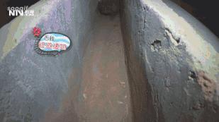 把竹鼠从洞里逼出来,竹鼠养殖关进小黑屋是什么效果