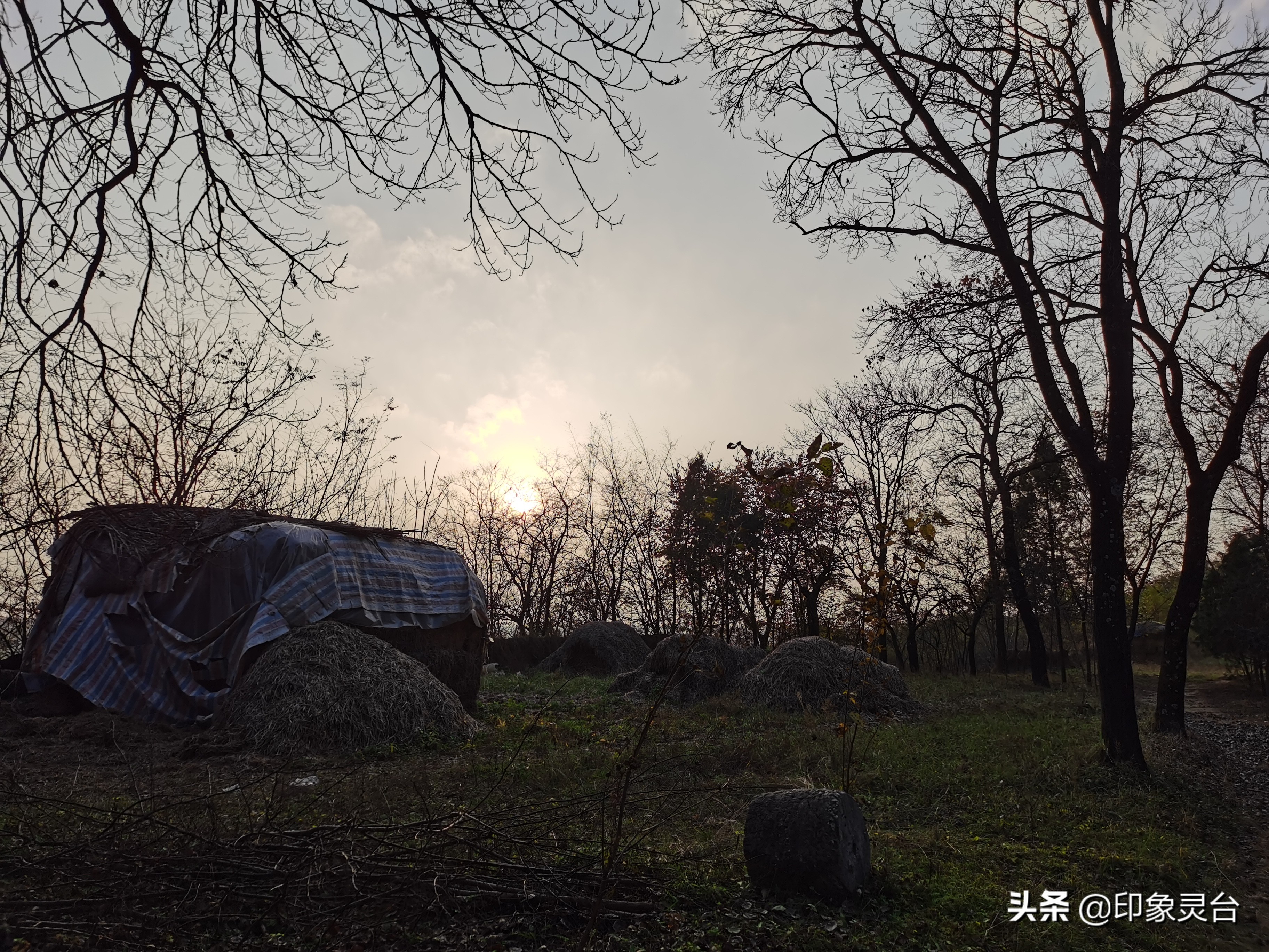 诗歌：冬天里的大山/冯永乐