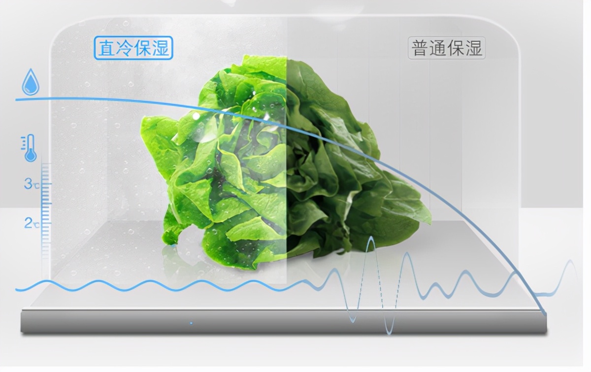 又到家电换新时,手把手教你选冰箱,各种功能和参数详解