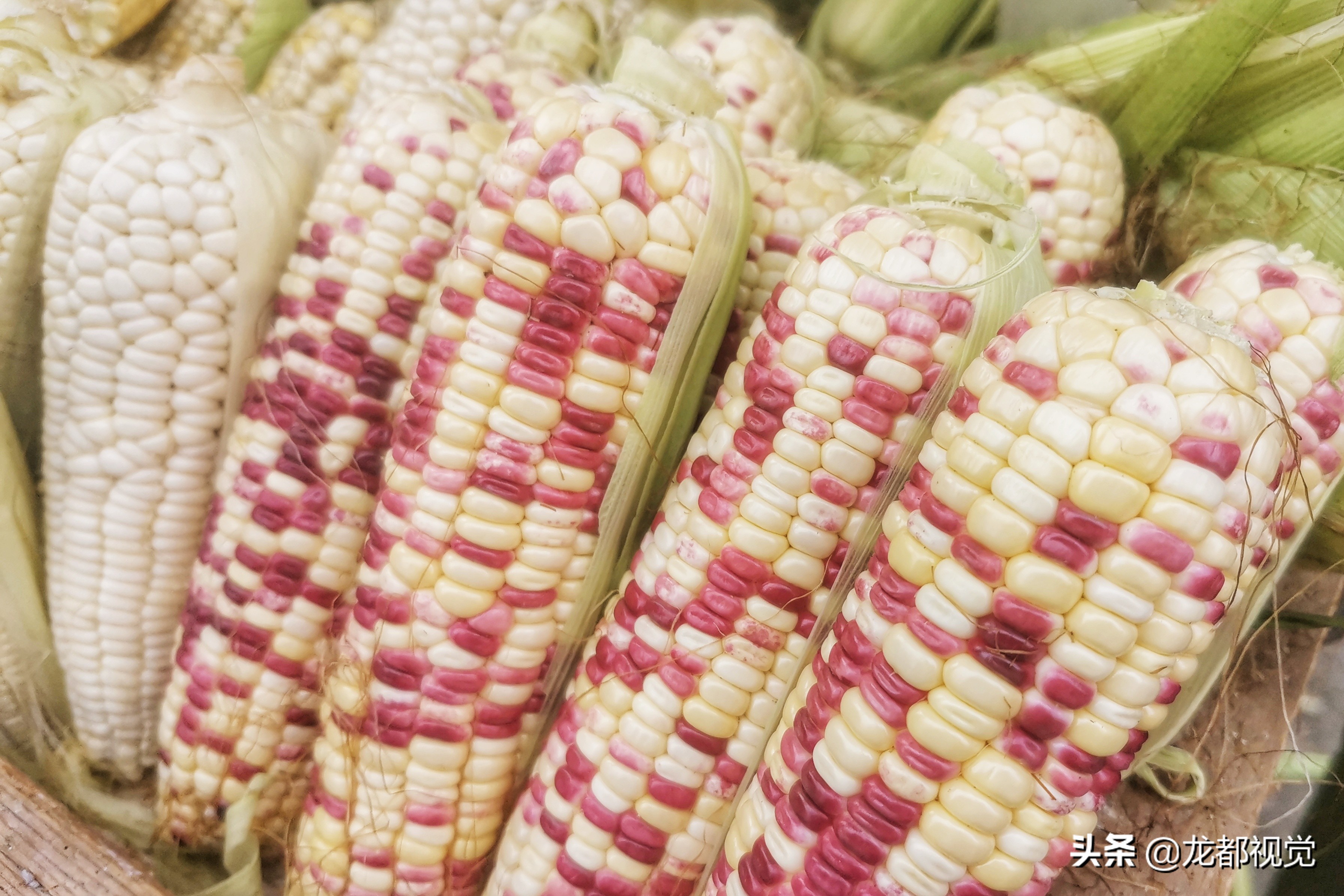 河南大姐卖玉米有诀窍，短时间内一车就被抢购完