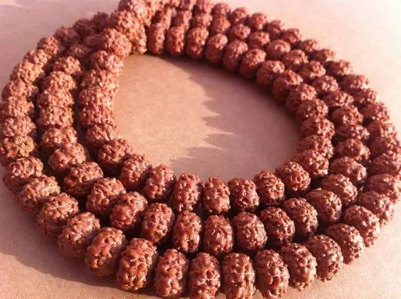 小金刚菩提最终是怎么样的,小金刚菩提子怎么看是真是假