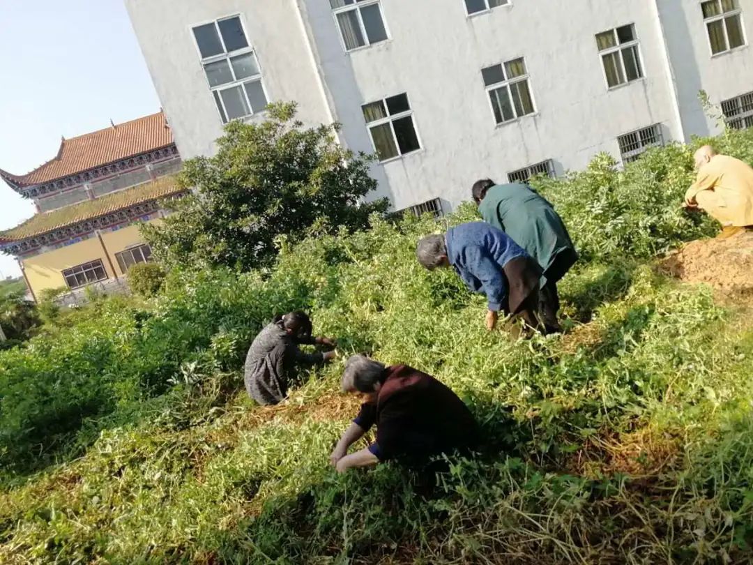 抢抓农时开展农业生产,农民纷纷抢抓春耕生产有利时机