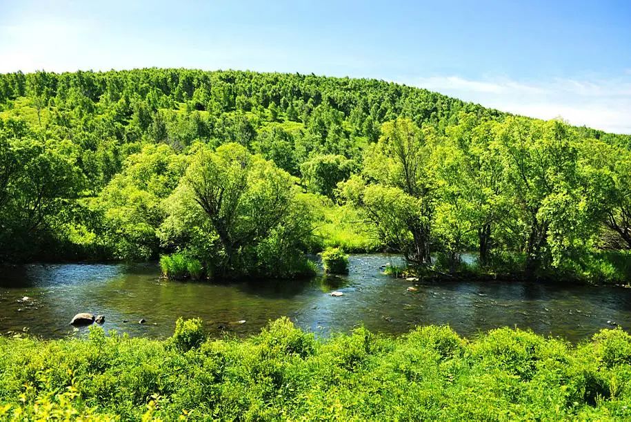 突然想去新疆旅游,突然好想去呼伦贝尔