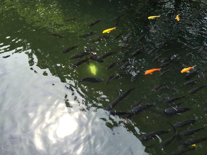 在这个阳光明媚的春季,在这个阳光灿烂的日子里