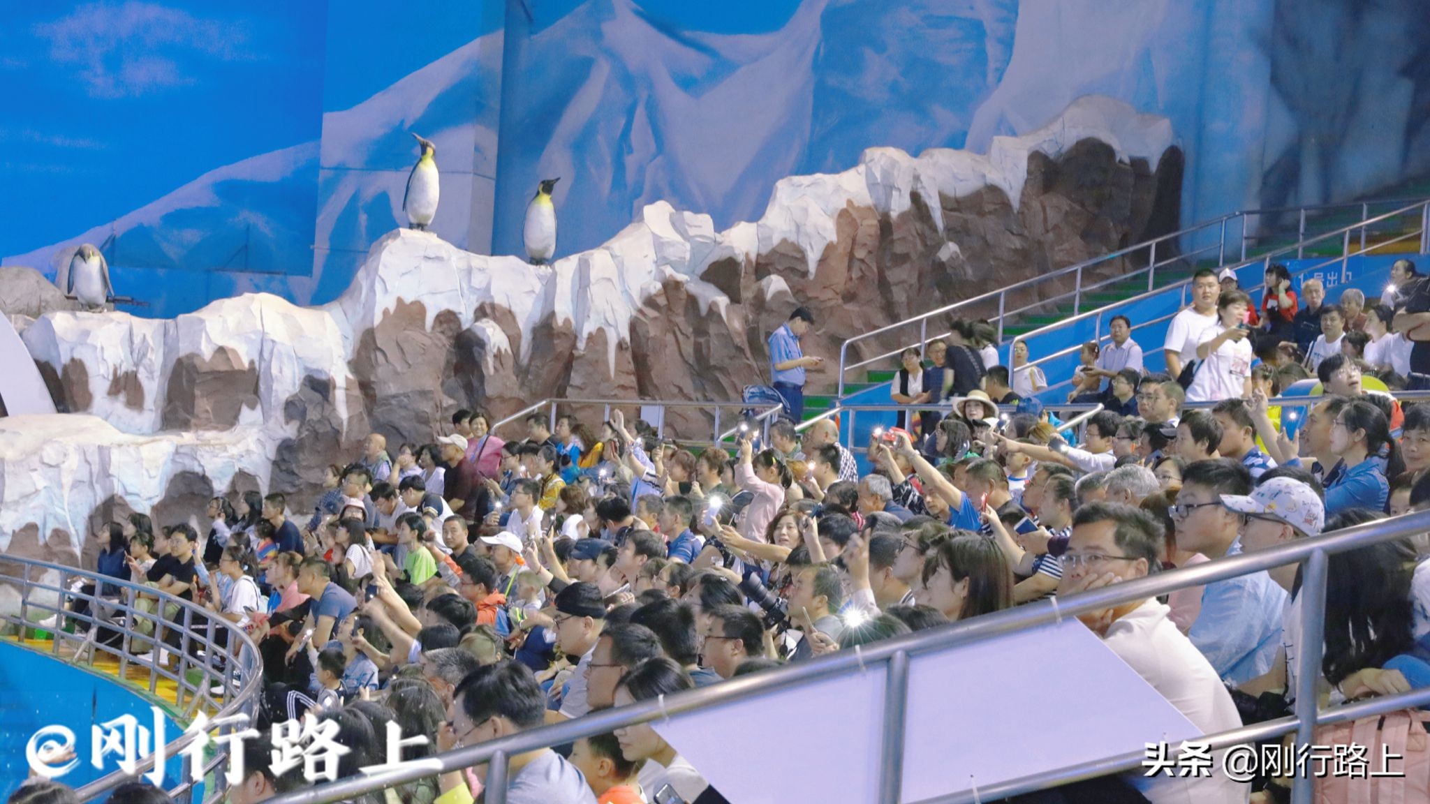 青岛海昌极地海洋世界深海探险,青岛海昌极地海洋世界景点视频