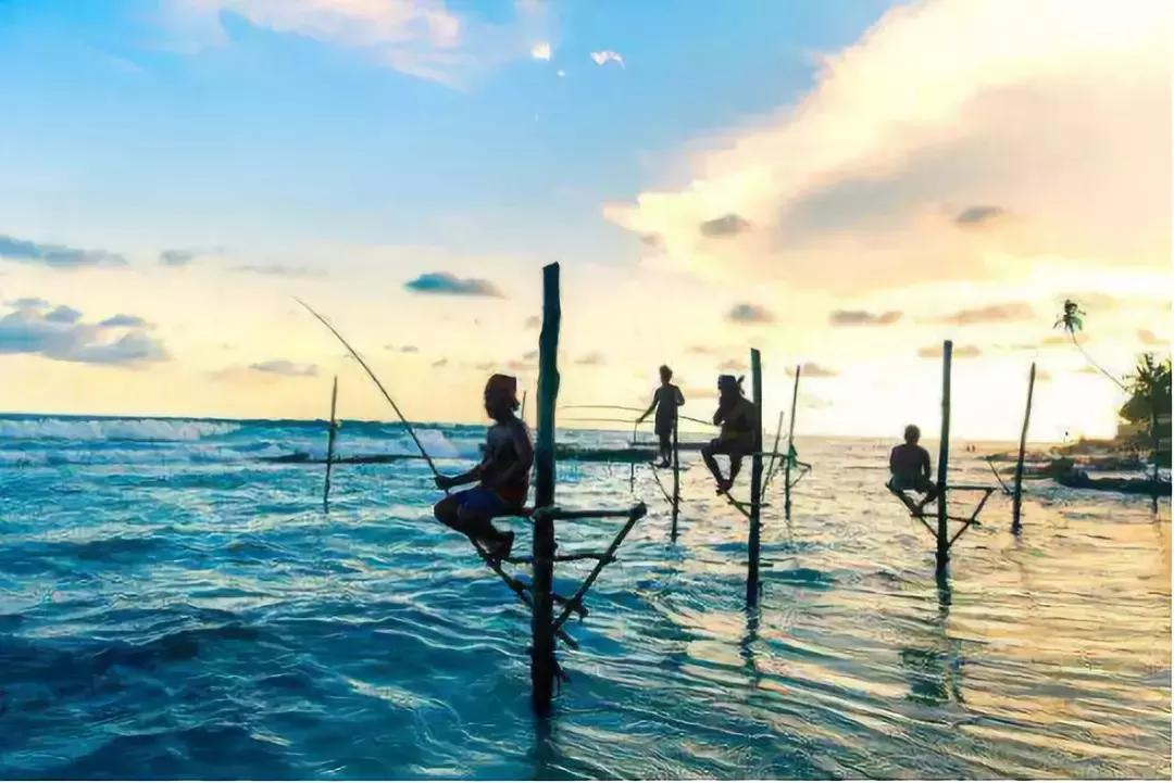 护照签证免签落地签,中国护照免签与落地签证名单