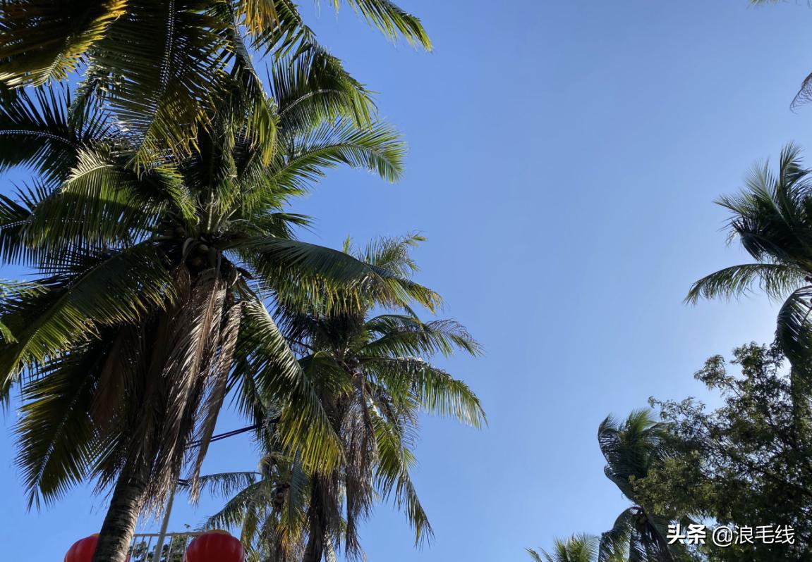 这个地方并不是富人的专属，不如春节假期去三亚度个假吧