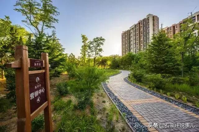 石家庄广电燕赵旅居：山东荣城一线海景看房团，不仅居住更可珍藏