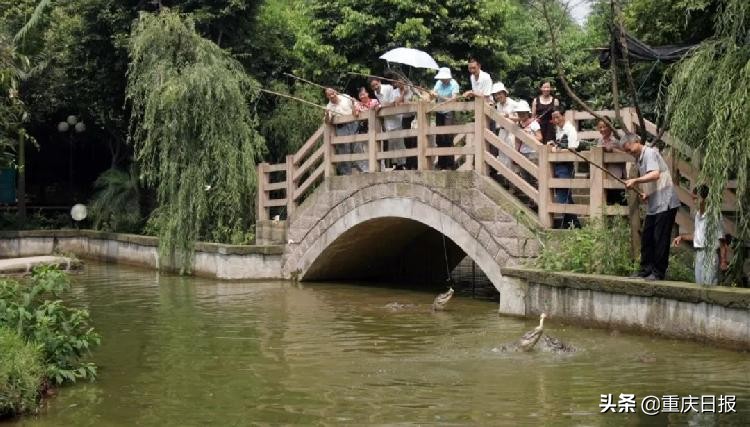 渝北空港保税轻轨三号线,渝北轻轨3号线到江北机场路线