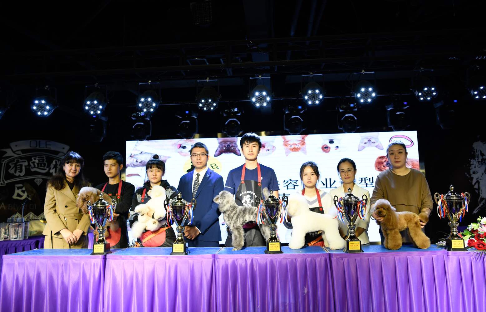 首届宠物美容商业造型交流会暨萌宠修剪赛圆满落幕