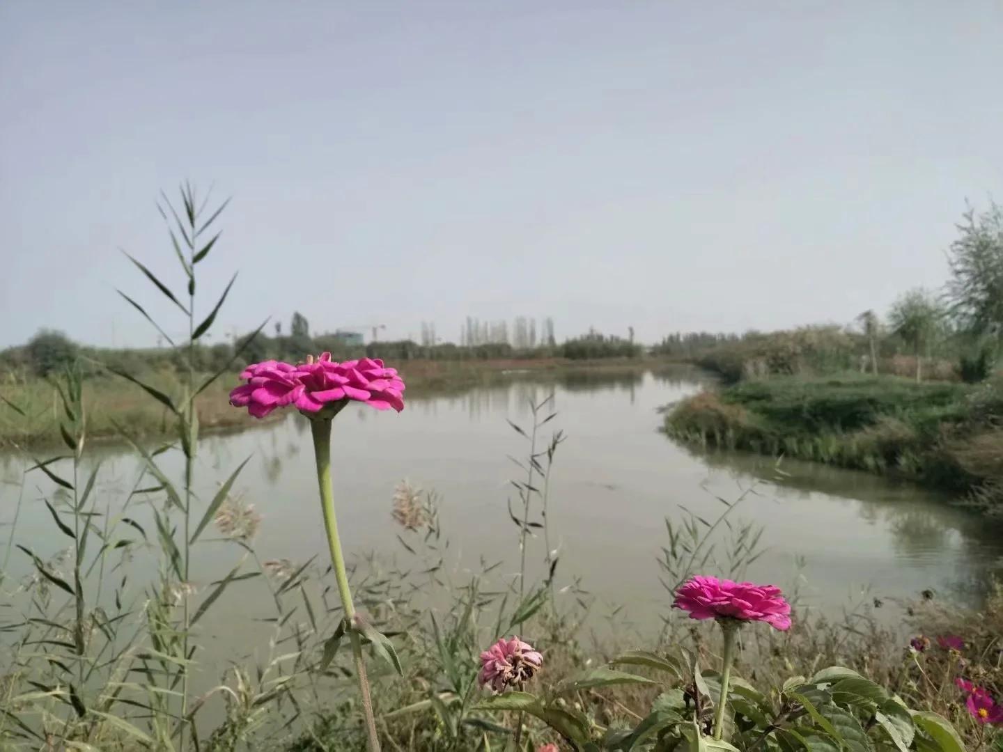 新疆南疆6天旅游攻略完整版,从库车出发新疆旅游攻略