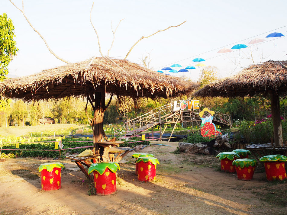 泰国7日游旅游攻略,泰国五日游攻略详细