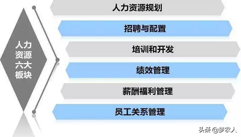 人力资源管理六大模块三大支柱,人力资源六大模块薪酬管理